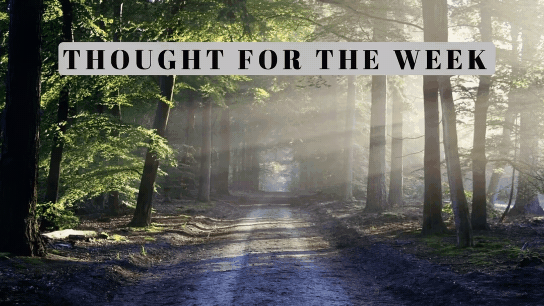 Thought for the Week: Think about something or someone you are thankful to have in your life.