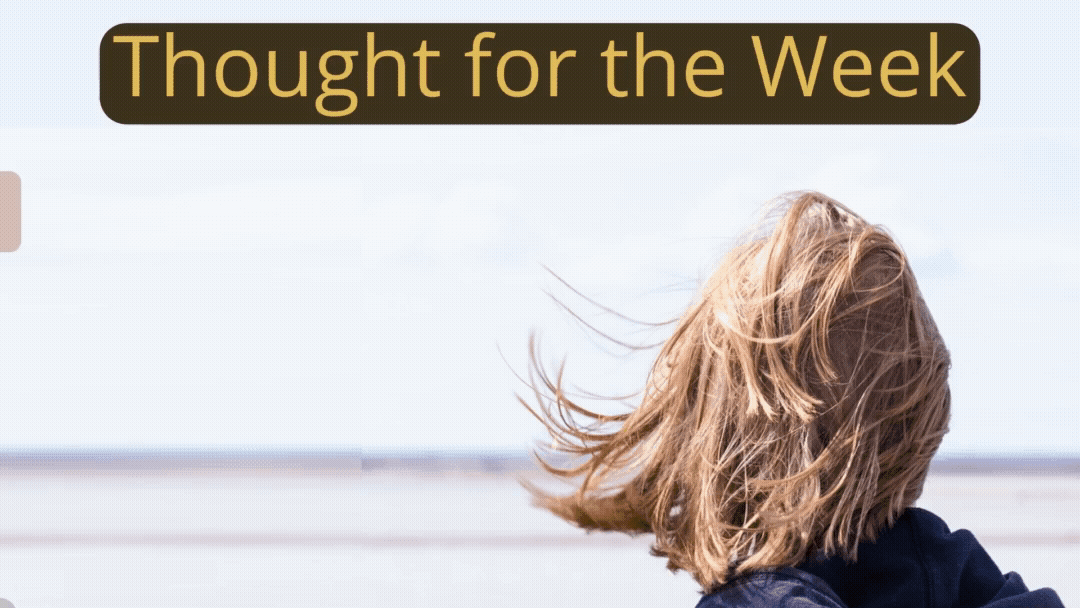 Thought for the Week: It's hard walking in the wind, yet it gives energy