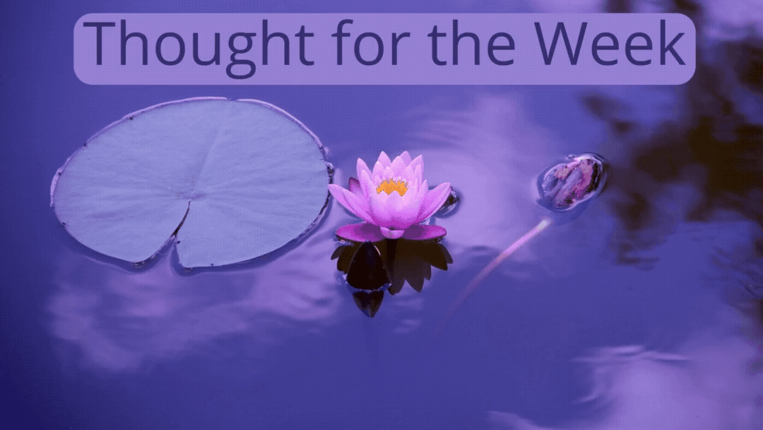 Thought for the Week: Calm waters run deep as gentle ripples resonate.
