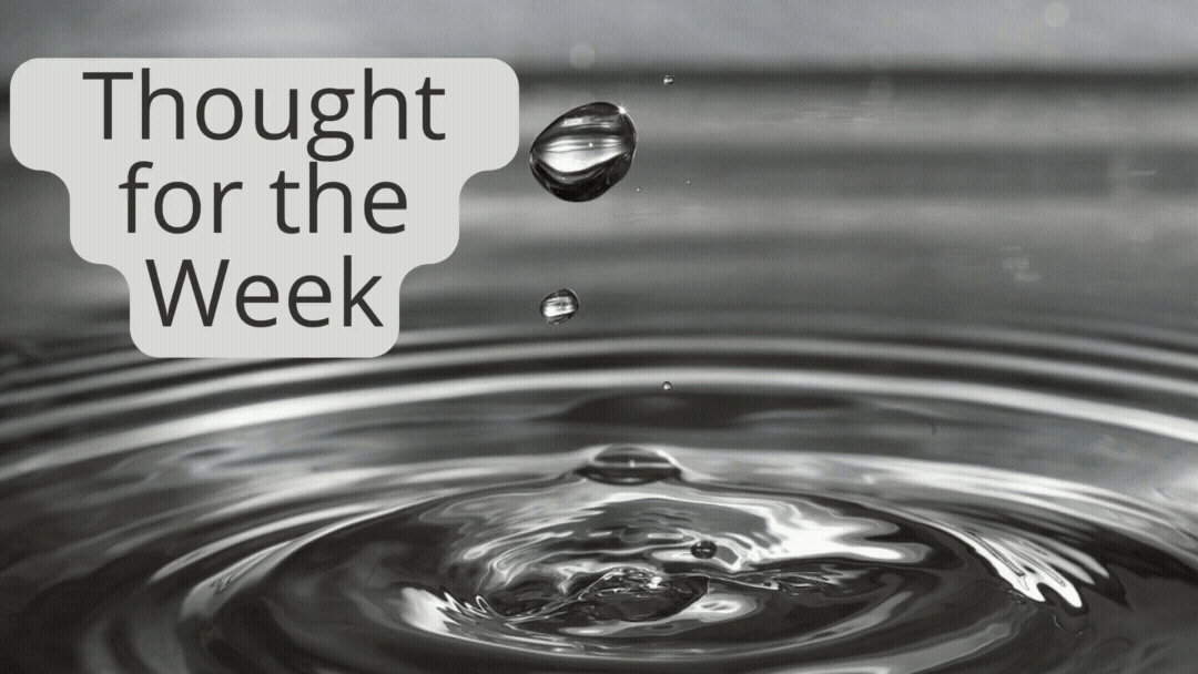 Thought for the Week: Small droplets make up vast lakes and oceans.