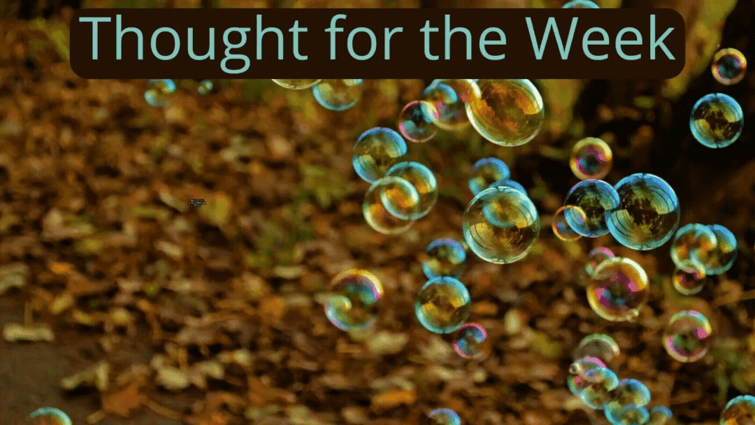 Thought for the Week: Joy is like a bubble floating freely, go with it.