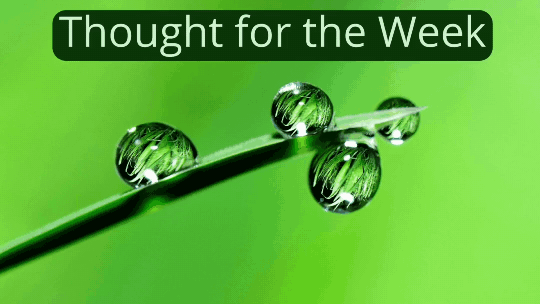 Thought for the Week: Zooming in can be revealing.