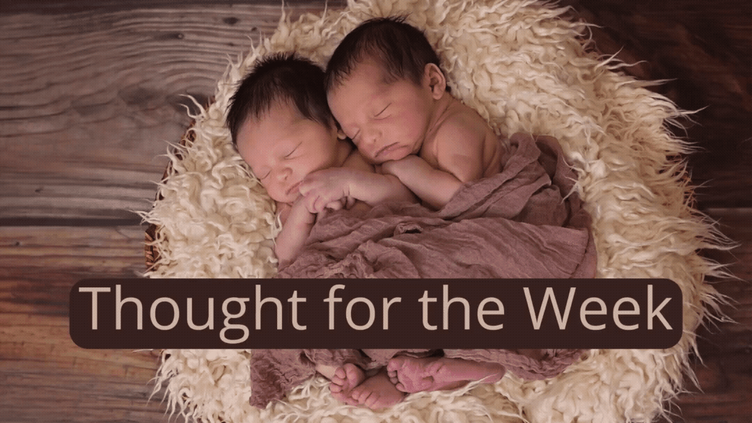 Thought for the Week: Babies trust their instincts, maybe we should too.
